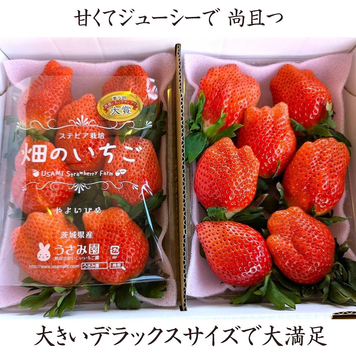 いちごひめさま専用 いちご 【うさみ園】 やよいひめ (7～9個)400g×2トレイ 800g