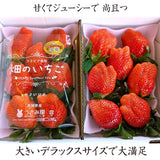 いちご 【うさみ園】 やよいひめ (7～9個)400g×2トレイ 800g  ステビア栽培 低農薬 完熟 茨城県鉾田市《 2/中旬～2/下旬より出荷》