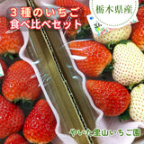 いちご 【やいた里山いちご園】苺 食べ比べ やよいひめ ミルキーベリー/とちあいか (280g×2パック) 白いちご 栃木県矢板市 《1/中旬～出荷開始》