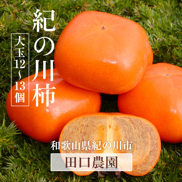 柿 【田口農園】 紀の川柿 紀ノ川柿 3.75kg 12～13個 大玉 贈答用 和歌山県紀の川市 《10/中旬～10/下旬より出荷》