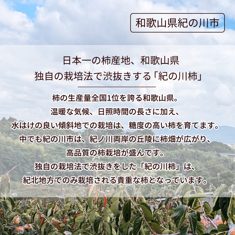 柿 【田口農園】 紀の川柿 紀ノ川柿 3.75kg 12～13個 大玉 贈答用 和歌山県紀の川市 《10/中旬～10/下旬より出荷》