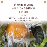 柿 【田口農園】 紀の川柿 紀ノ川柿 3.75kg 12～13個 大玉 贈答用 和歌山県紀の川市 《10/中旬～10/下旬より出荷》