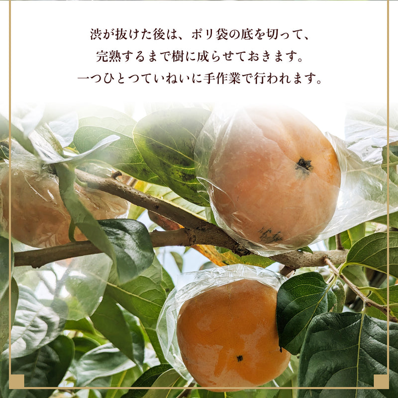 柿 【田口農園】 紀の川柿 紀ノ川柿 3.75kg 12～13個 大玉 贈答用 和歌山県紀の川市 《10/中旬～10/下旬より出荷》