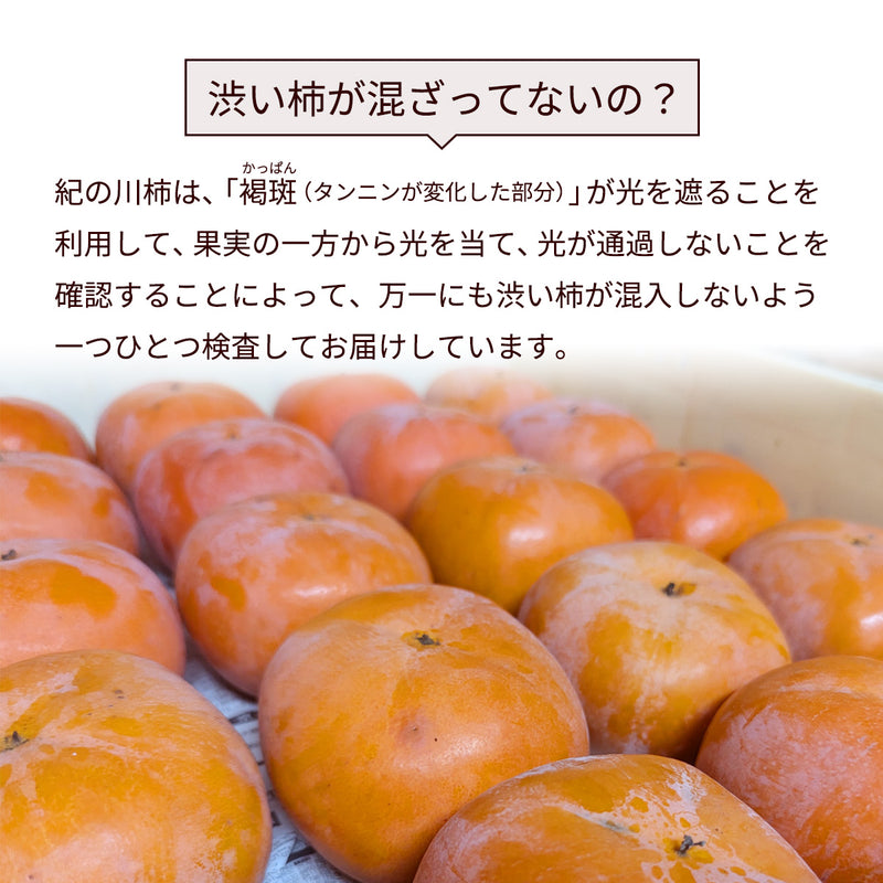 柿 【田口農園】 紀の川柿 紀ノ川柿 3.75kg 12～13個 大玉 贈答用 和歌山県紀の川市 《10/中旬～10/下旬より出荷》