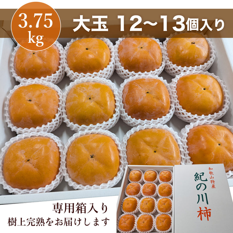柿 【田口農園】 紀の川柿 紀ノ川柿 3.75kg 12～13個 大玉 贈答用 和歌山県紀の川市 《10/中旬～10/下旬より出荷》