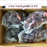 ぶどう 【つぶらぶどう園】 家庭用 巨峰 種無し 2kg  栃木県栃木市