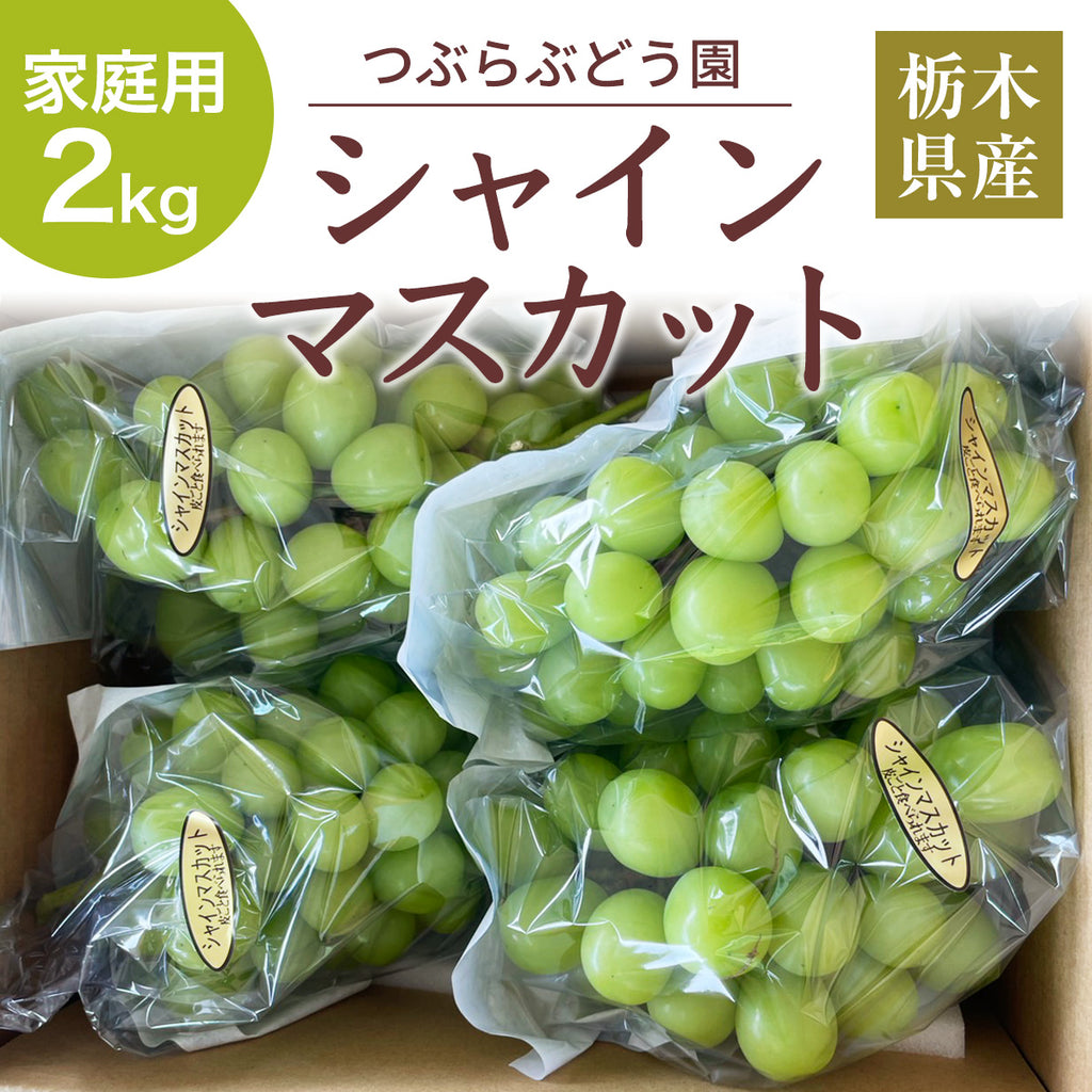 乾燥山ぶどう蔓、2kgセット。　　6-040 乾燥山ぶどう蔓、2kgセット。 6-040 （乾燥山ぶどう蔓、2kg