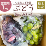 ぶどう 【つぶらぶどう園】 家庭用 詰合せ ぶどう色々 品種お任せ 1kg  栃木県栃木市