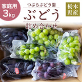 ぶどう 【つぶらぶどう園】 家庭用 詰合せ ぶどう色々 品種お任せ 3kg 栃木県栃木市