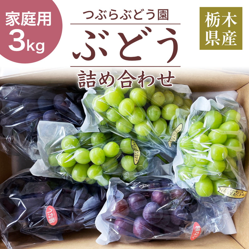ぶどう 【つぶらぶどう園】 家庭用 詰合せ ぶどう色々 品種お任せ 3kg 栃木県栃木市