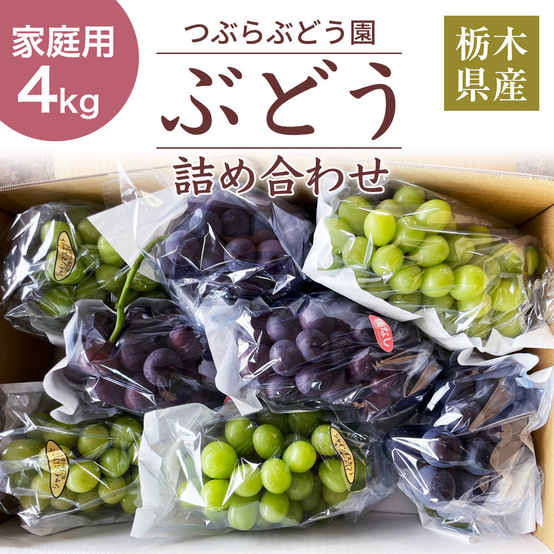 ぶどう 【つぶらぶどう園】 家庭用 詰合せ ぶどう色々 品種お任せ 4kg 栃木県栃木市