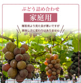 ぶどう 【つぶらぶどう園】 家庭用 詰合せ ぶどう色々 品種お任せ 2kg 栃木県栃木市