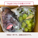 ぶどう 【つぶらぶどう園】 家庭用 詰合せ ぶどう色々 品種お任せ 1kg  栃木県栃木市