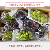 ぶどう 【つぶらぶどう園】 家庭用 詰合せ ぶどう色々 品種お任せ 4kg 栃木県栃木市