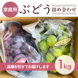 ぶどう 【つぶらぶどう園】 家庭用 詰合せ ぶどう色々 品種お任せ 1kg  栃木県栃木市