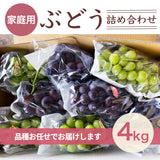 ぶどう 【つぶらぶどう園】 家庭用 詰合せ ぶどう色々 品種お任せ 4kg 栃木県栃木市