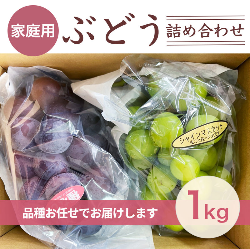 ぶどう 【つぶらぶどう園】 家庭用 詰合せ ぶどう色々 品種お任せ 1kg  栃木県栃木市