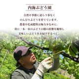 ぶどう 【内海ぶどう園】 葡萄 詰合せ 品種お任せ 4kg 8～12房 贈答用 栃木県栃木市