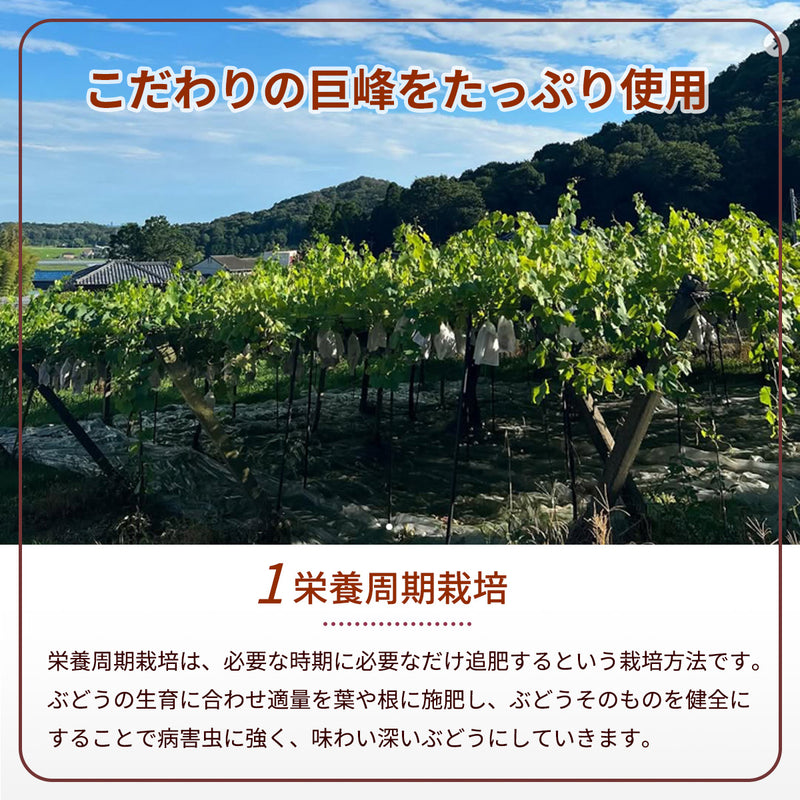 ぶどう マスタード 【内海ぶどう園】 葡萄のマスタード 190g 栃木県栃木市
