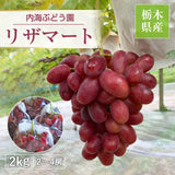 ぶどう 【内海ぶどう園】 希少 リザマート 2kg 2～4房 贈答用 栃木県栃木市
