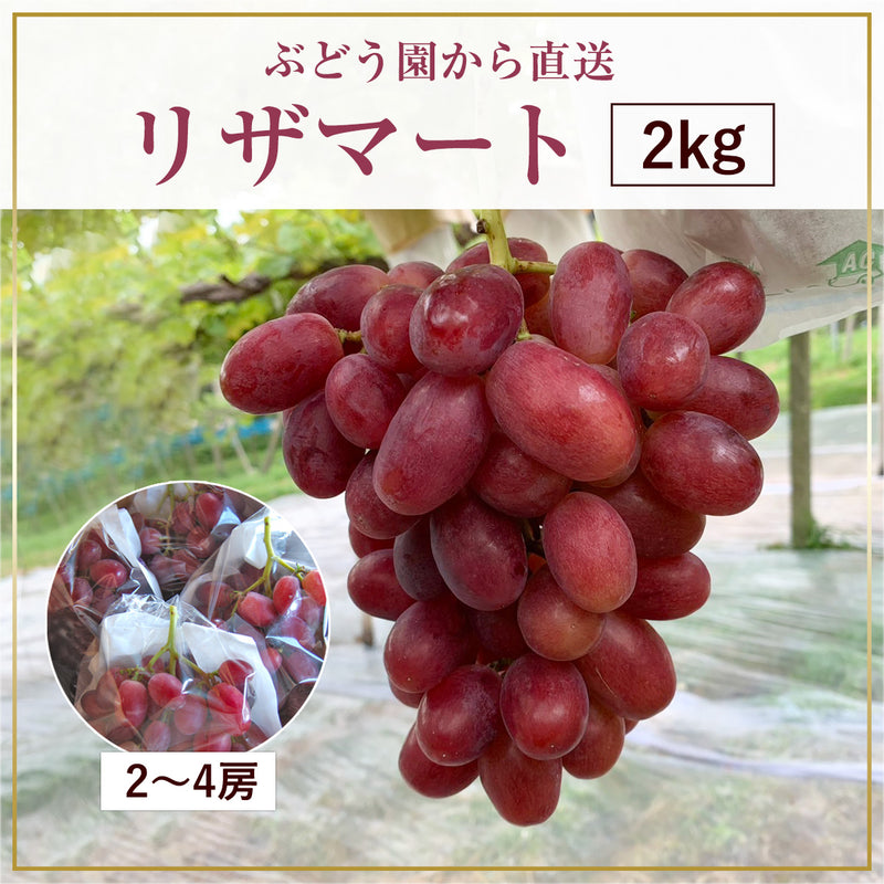 ぶどう 【内海ぶどう園】 希少 リザマート 2kg 2～4房 贈答用 栃木県栃木市