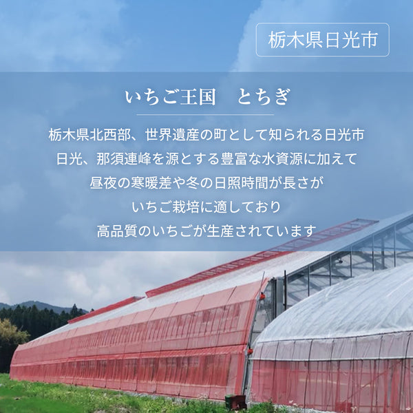 いちご 【山川いちご園】 食べ比べ スカイベリー とちあいか ミルキーベリー 540g 栃木県 苺 イチゴ 《1/上旬より出荷》