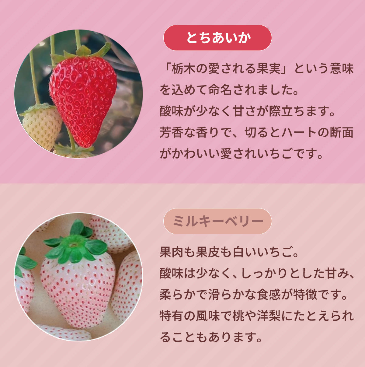 yamakawa_ichigo_04_1200x.jpg?v