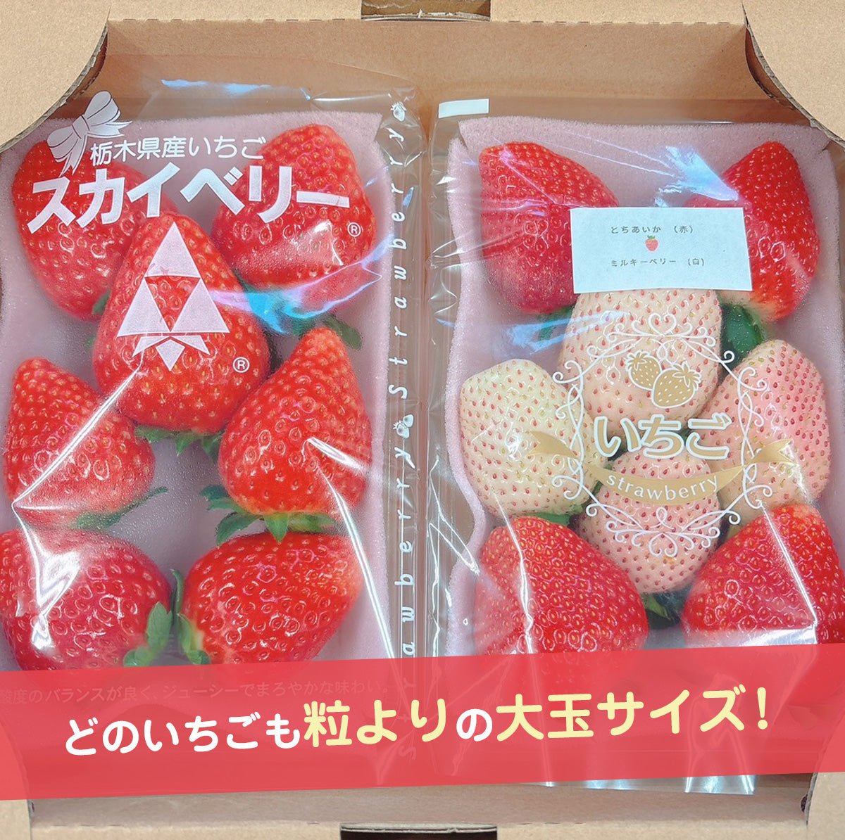 いちご 【山川いちご園】 食べ比べ スカイベリー とちあいか ミルキー