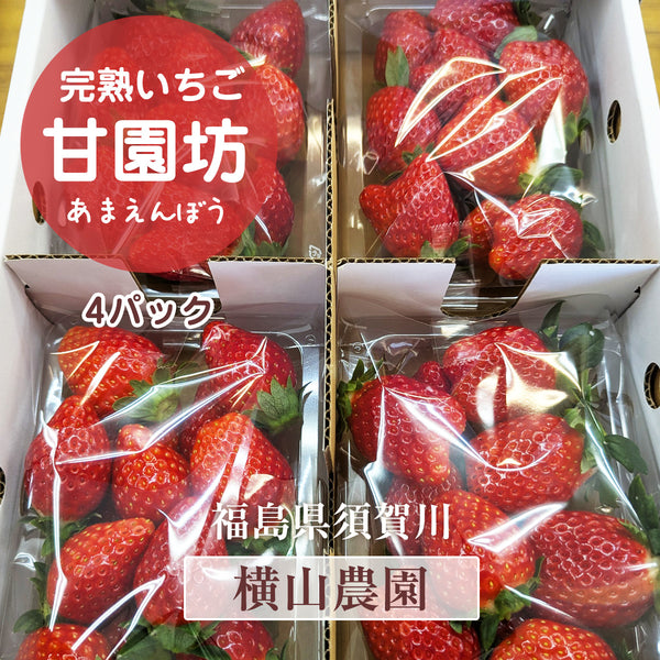 いちご 【横田農園】 オリジナルブランドいちご 甘園房 270g×4パック 福島県須賀川市《1/上旬～中旬より出荷》