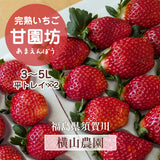 いちご 【横田農園】 オリジナルブランドいちご 甘園房 9～15粒×2 3L~5L 福島県須賀川市 《1/上旬～中旬より出荷》