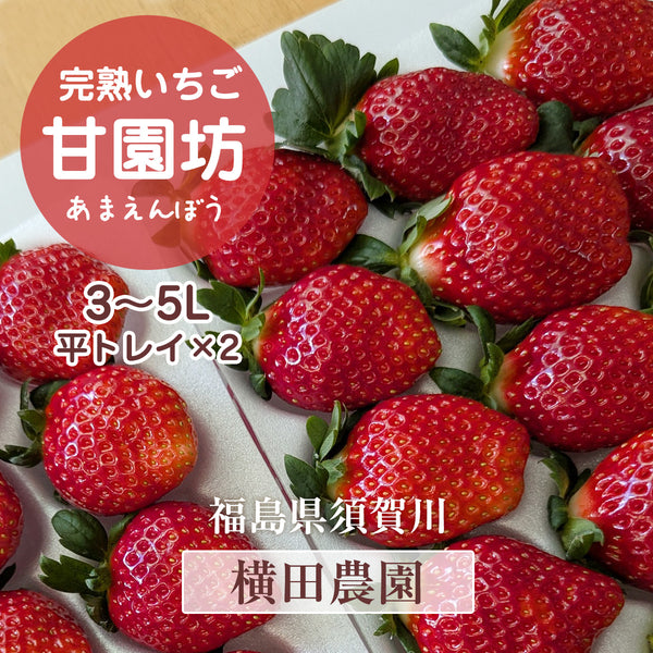 yokotanoen_ichigo_tray_01_503d