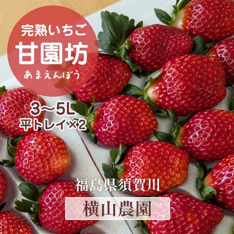 いちご 【横田農園】 オリジナルブランドいちご 甘園房 9～15粒×2 3L~5L 福島県須賀川市 《1/上旬～中旬より出荷》