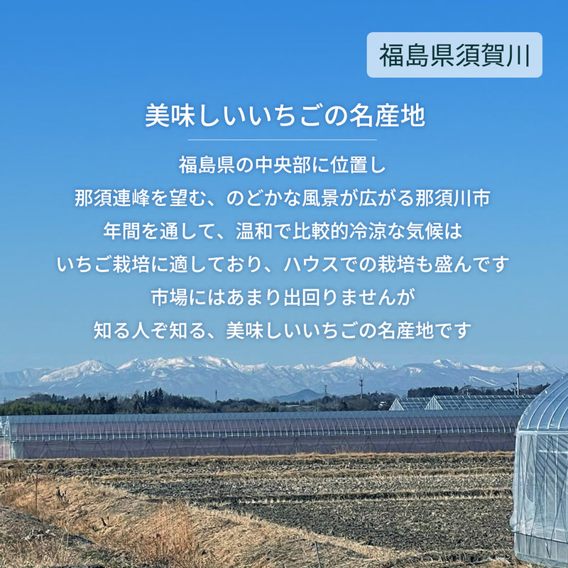 いちご 【横田農園】 オリジナルブランドいちご 甘園房 9～15粒×2 3L~5L 福島県須賀川市 《1/上旬～中旬より出荷》