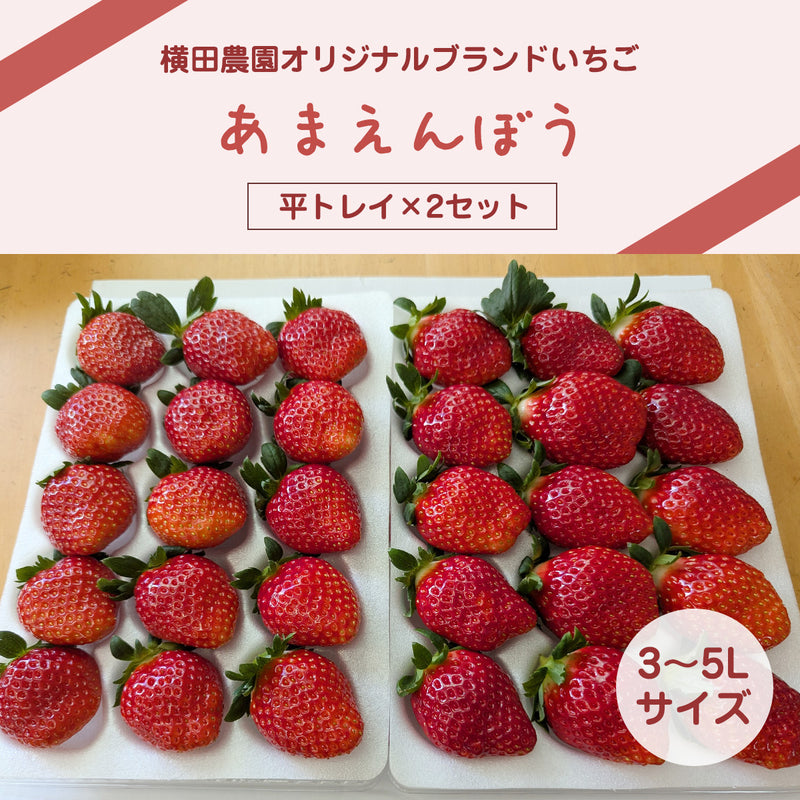 いちご 【横田農園】 オリジナルブランドいちご 甘園房 9～15粒×2 3L~5L 福島県須賀川市 《1/上旬～中旬より出荷》