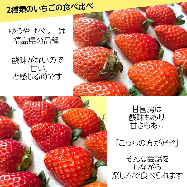 いちご 【横田農園】食べ比べ 甘園房 ゆうやけベリー 18粒 400gずつ 福島県須賀川市《1/上旬～中旬より出荷》