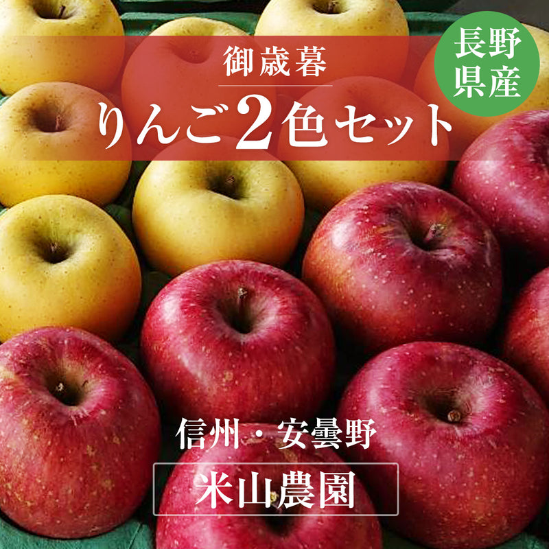 りんご 【信州安曇野 米山農園】 2色リンゴ ふじ ぐんま名月 4.6kg 16～23個 御歳暮 長野県安曇野 《11/中旬～11/下旬より出荷》