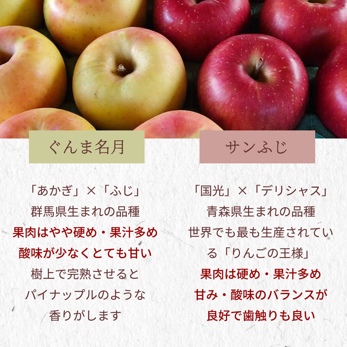 りんご 【信州安曇野 米山農園】 2色リンゴ ふじ ぐんま名月 2.8kg 10