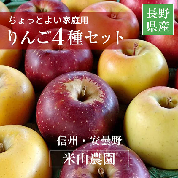 りんご 【信州安曇野 米山農園】 4種のりんご  ちょっと良い家庭用 2.8kg 10～13個 長野県安曇野 林檎 秋映 シナノスイート シナノゴールド ぐんま名月 ふじ《11/上旬～11/中旬より出荷》