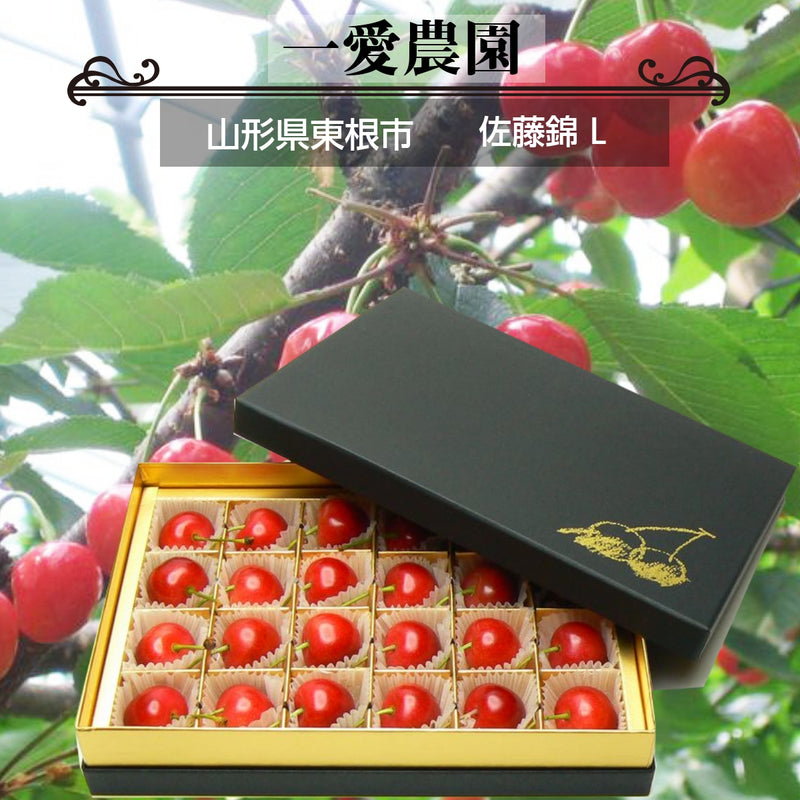 《4月中旬より出荷》【一愛農園】さくらんぼ 佐藤錦 150g チョコ箱 特秀 Lサイズ 贈答 母の日 山形県東根市