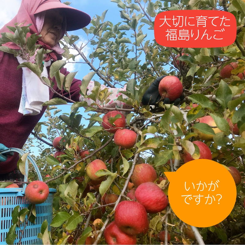 【長田果樹園】りんご サンふじ　約5kg 　小玉20～23個 　赤秀　家庭用　福島県石川町