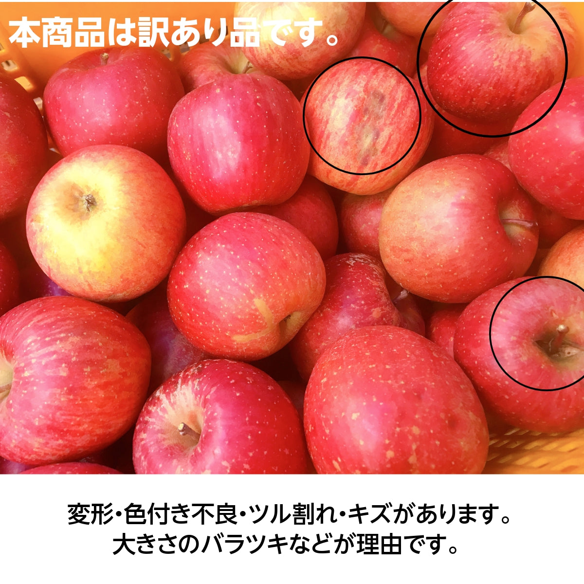 りんご 【長田果樹園 】サンふじ 小玉 ミニ 訳あり 家庭用 10kg 46個