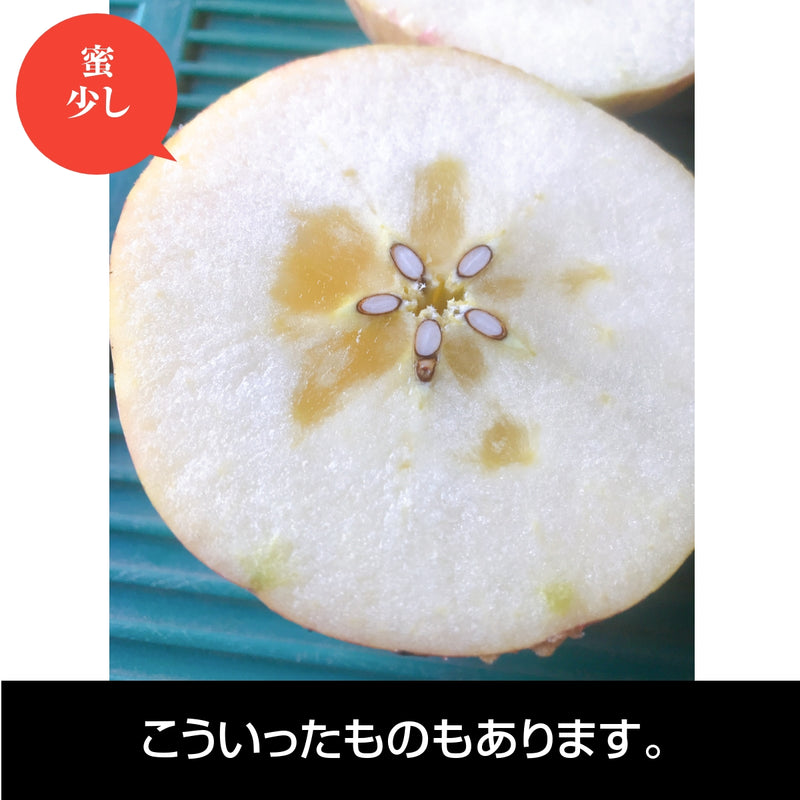 【長田果樹園】りんご　サンふじ　小さいサイズ 約5kg  訳あり品・家庭用　福島県