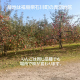 【長田果樹園】りんご サンふじ　約10kg 　大玉24～32個 　赤秀　家庭用　福島県石川町