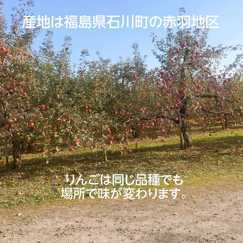 【長田果樹園】りんご サンふじ　約10kg 　小玉40個 　特秀　贈答用・ギフト用　福島県石川町