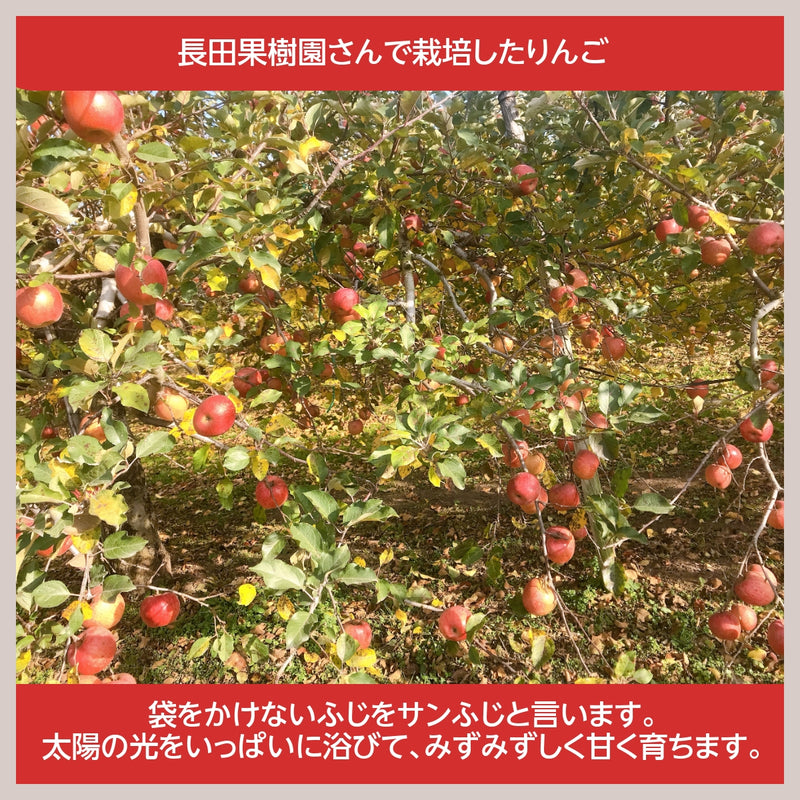 【長田果樹園】りんご サンふじ　約5kg 　中玉18個 　赤秀　家庭用　福島県石川町