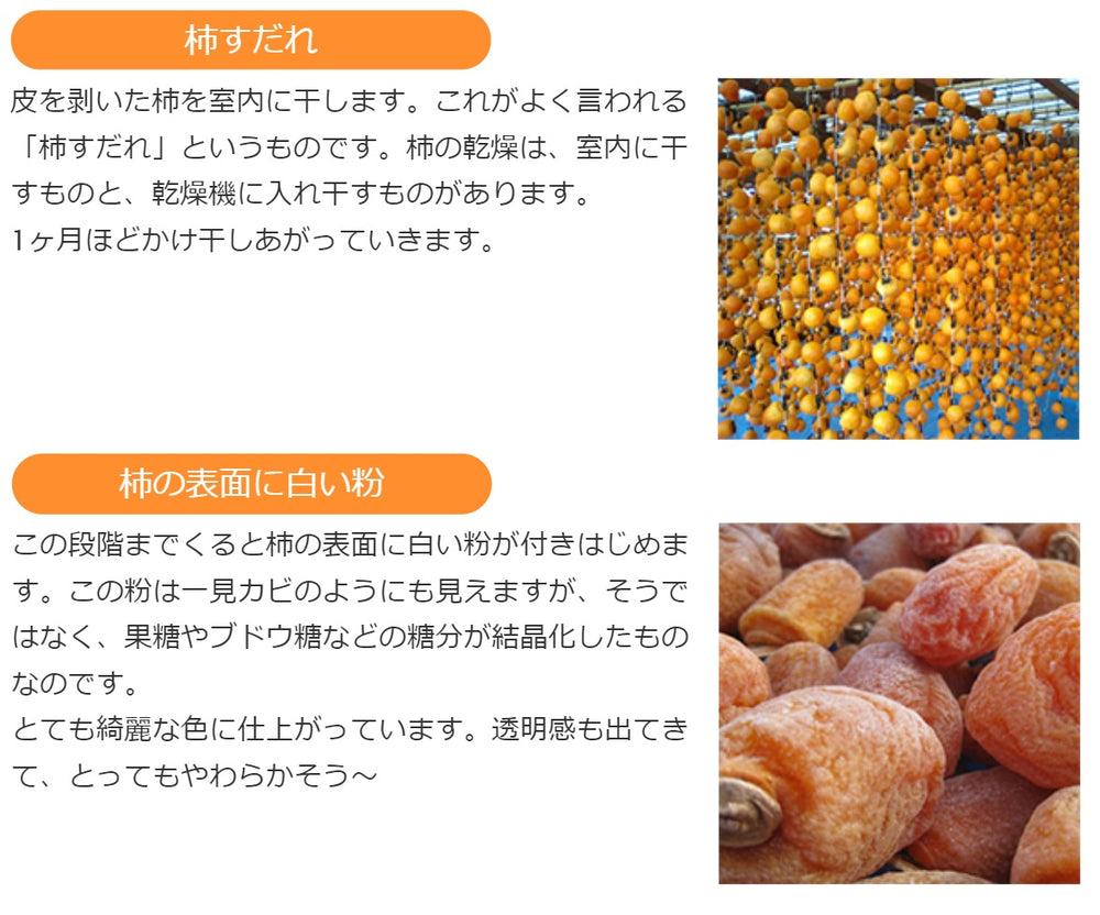 干し柿 【市田屋】 市田柿 2L 900g 28個 贈答用 化粧箱 長野県 干し柿 【市田屋】 市田柿 2L 900g 28個 贈答用 化粧箱 長野県