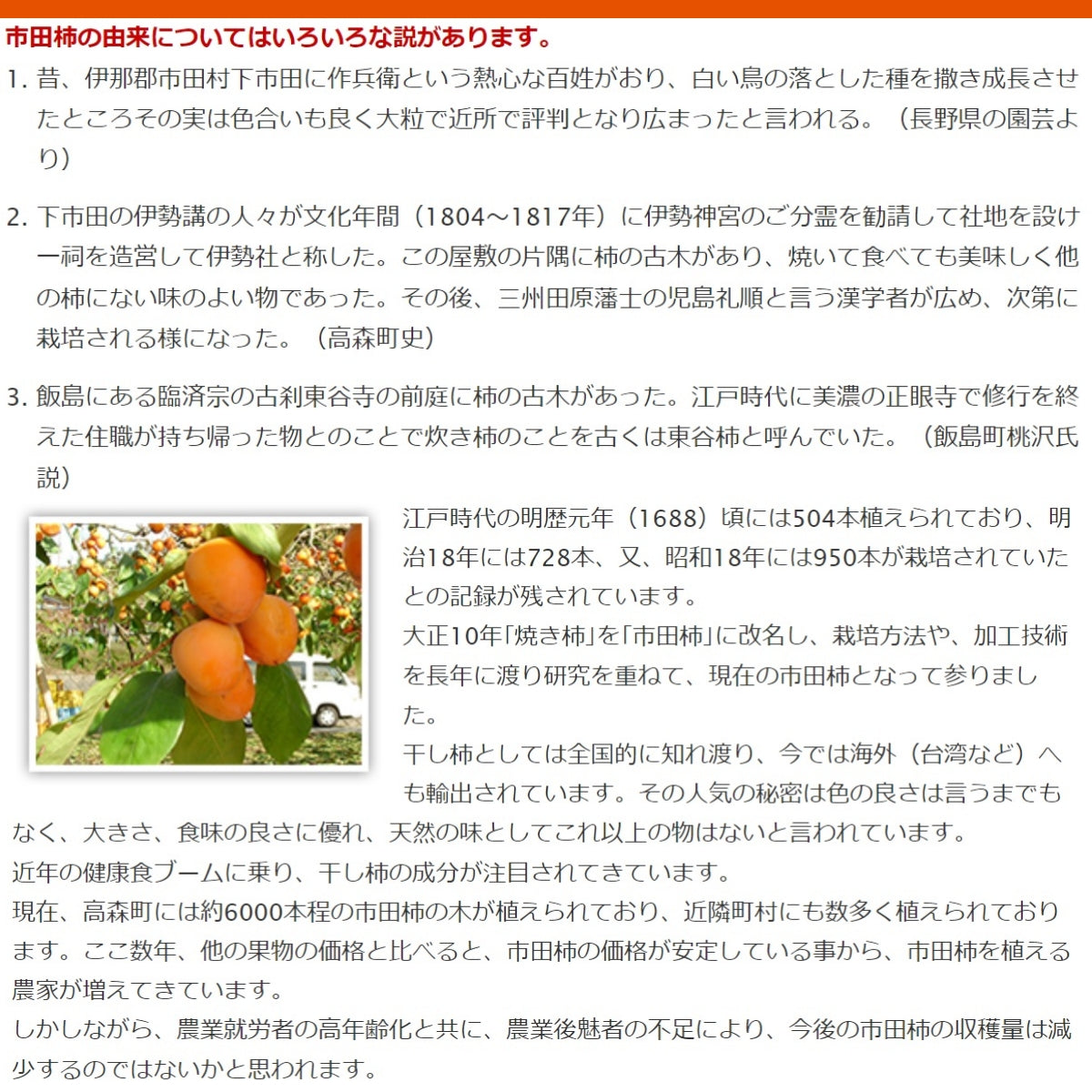 市田柿 5kg （1kg×5）3Ｌサイズ 市田柿 5kg （1kg×5）3Lサイズ 果物