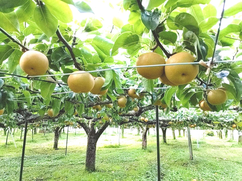 s-2021-08-26-08-28-23-