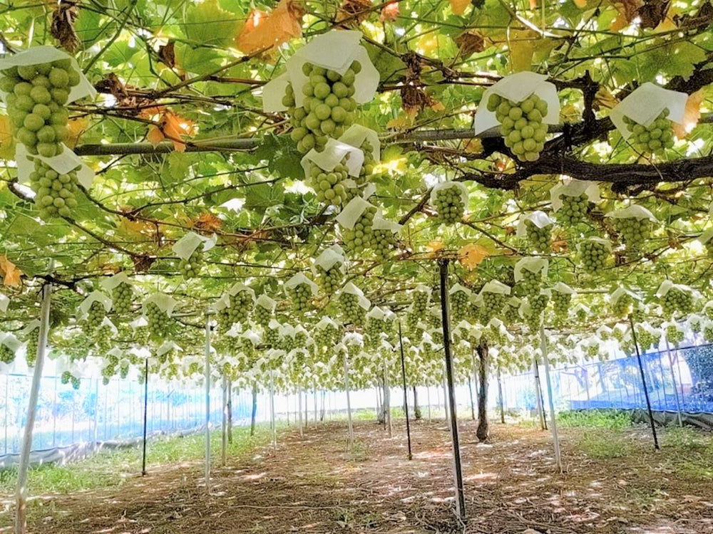 s-2021-08-29-15-01-13-