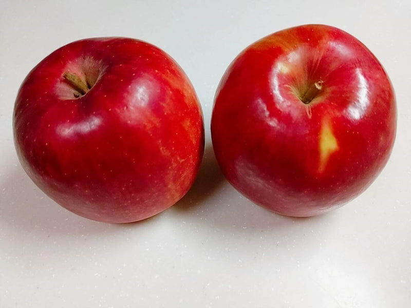 りんご 【ひかりグループ】 小玉リンゴ 毎日ちびリンゴ ミニサイズ 1ヵ月分チェックシート付 サンふじ 約5kg 24個 山形県 家庭用 《12/上旬～12/中旬より出荷》